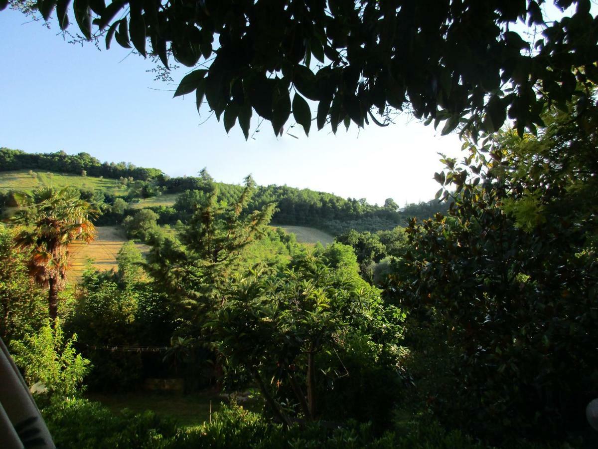 B&B Carboni Penna San Giovanni 외부 사진