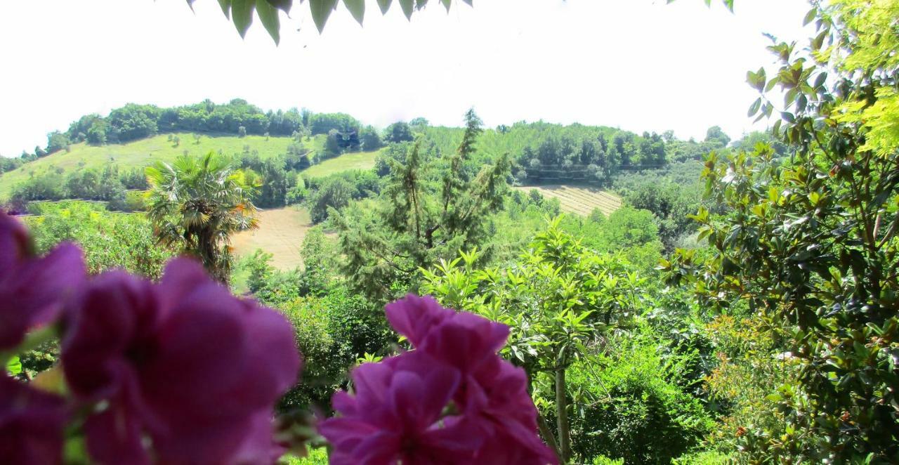 B&B Carboni Penna San Giovanni 외부 사진