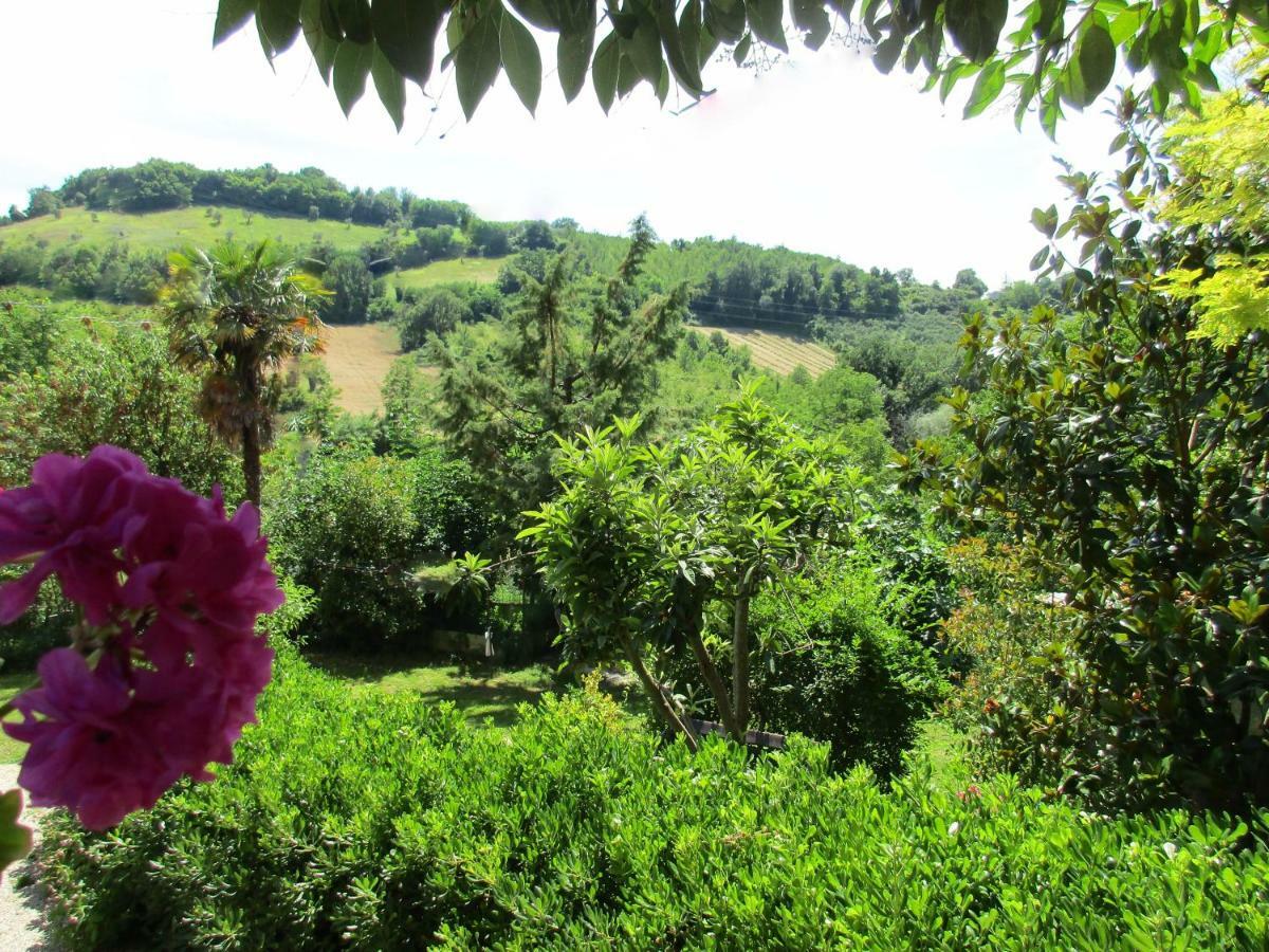 B&B Carboni Penna San Giovanni 외부 사진