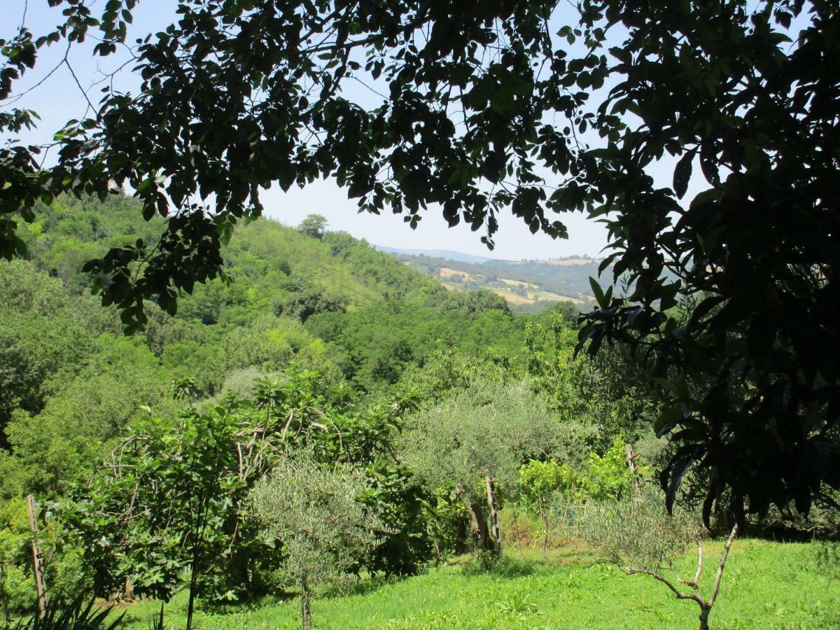 B&B Carboni Penna San Giovanni 외부 사진