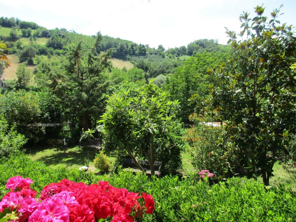 B&B Carboni Penna San Giovanni 외부 사진